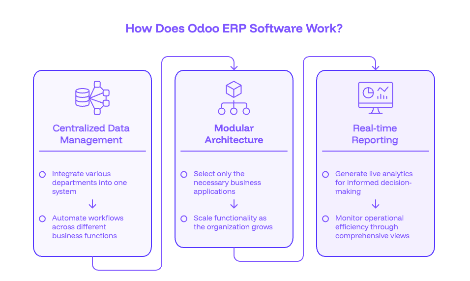How Does Odoo ERP Software Work?