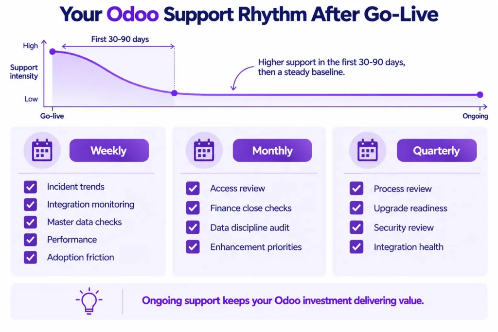 Weekly, monthly and quarterly Odoo support checklist.