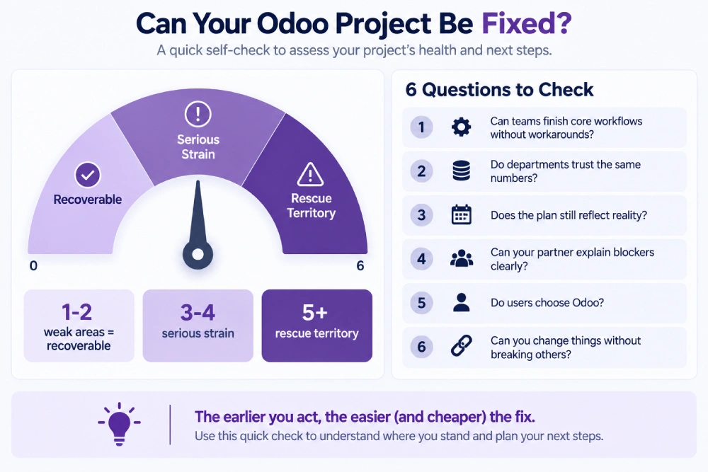 Triage gauge for assessing a struggling Odoo implementation.
